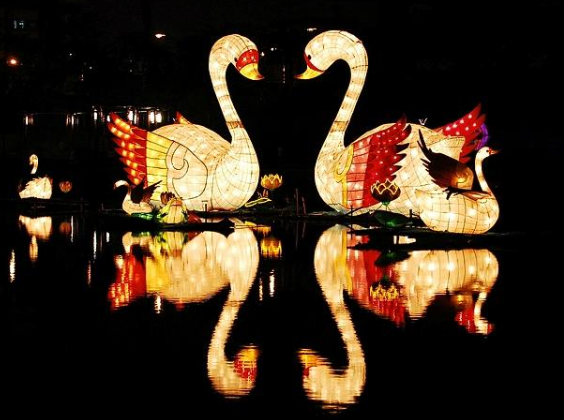 圖片